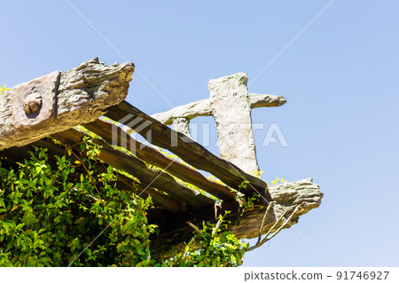 Part of a wooden ruined bridge overgrown with tropical greenery against a blue sky 91746927