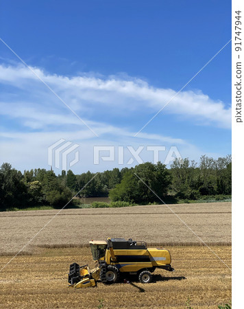 Combine harvester harvests ripe wheat, agriculture, France Combine harvester harvests ripe wheat, agriculture, France 91747944