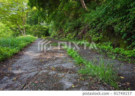 Rough mountain road in summer 91749157
