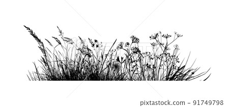 Background grass natural silhouette. Vector illustration 91749798