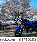 Season of encounter 91750252