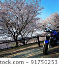 Spring coming 91750253