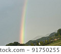 Too dark rainbow 91750255