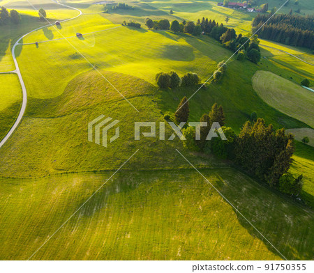Amazing nature of Bavaria in the Allgau district of the German Alps Amazing nature of Bavaria in the Allgau district of the German Alps 91750355