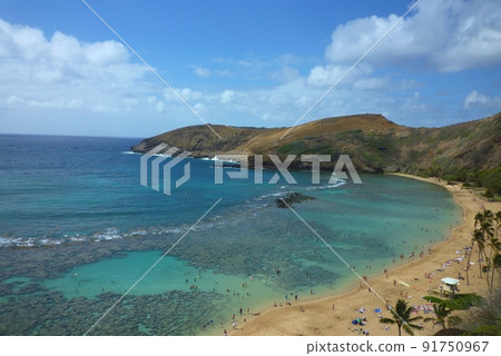 夏威夷瓦胡島恐龍灣 夏威夷瓦胡島恐龍灣 91750967
