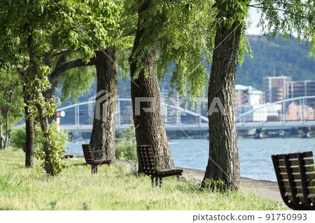 Bench on the shore of Lake Biwa Bench on the shore of Lake Biwa 91750993