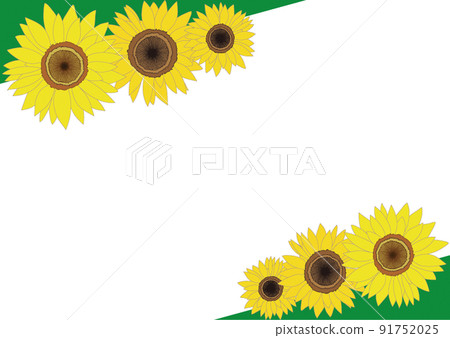 Sunflower flower / frame material 91752025