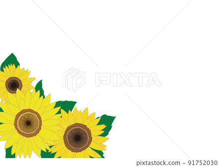 Sunflower flower / frame material Sunflower flower / frame material 91752030