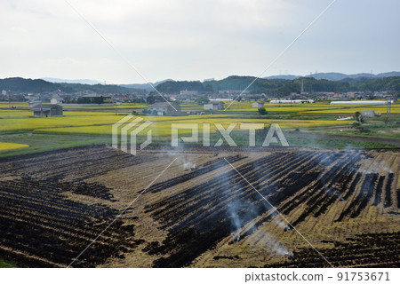 水稻收割和露天焚燒 91753671