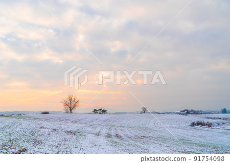 安城牧場 91754098