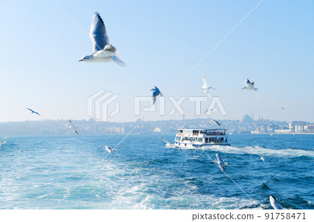 Skyline of Istanbul, Turkey Skyline of Istanbul, Turkey 91758471