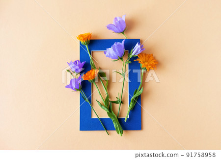 Blue bluebell flowers and orange calendula flowers in a blue frame on an orange background. Summer flat lay Blue bluebell flowers and orange calendula flowers in a blue frame on an orange background. Summer flat lay 91758958