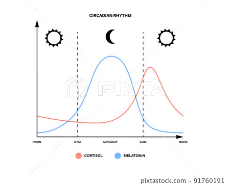 Sleep wake cycle 91760191