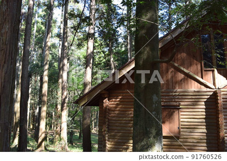 Log house forest landscape Log house forest landscape 91760526