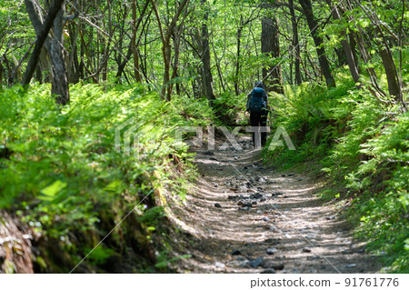 Mountain girl climbing the mountain trail of Mt. Kosengen in early summer 91761776
