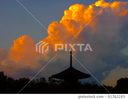 Evening glow of Lotus Temple 91762283