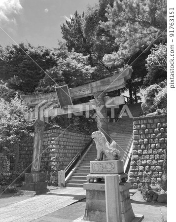 東京品川的藤塚/品川神社 東京品川的藤塚/品川神社 91763151