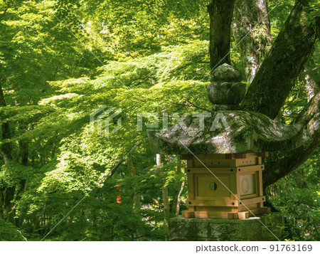 Lanterns and blue autumn leaves Lanterns and blue autumn leaves 91763169