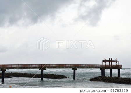 Tenryo no Sato Yunagi no Hashi (Niigata Prefecture) 91763329