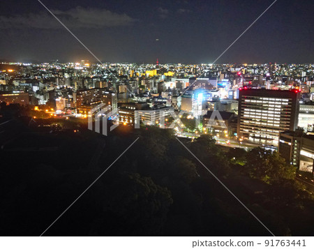 Aerial view of the city from the forest around Kumamoto Castle Aerial view of the city from the forest around Kumamoto Castle 91763441