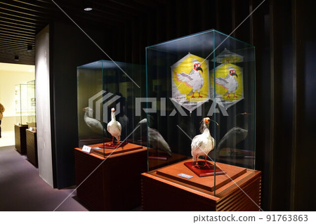 土岐與自然學習中心土岐美手（新潟縣） 91763863