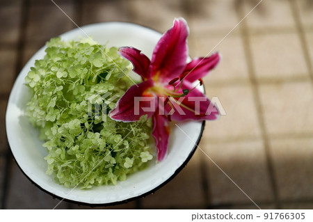 Fashionable Annabel and lily flower hand water Fashionable Annabel and lily flower hand water 91766305