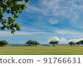 Scenery spreading with blue sky 91766631