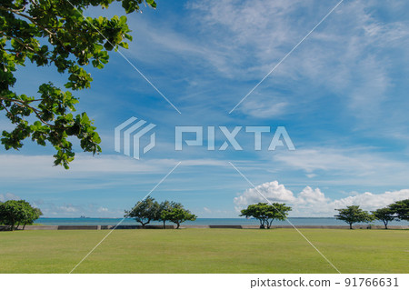 Scenery spreading with blue sky 91766631
