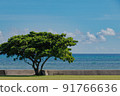 Landscape of the sea and blue sky 91766636
