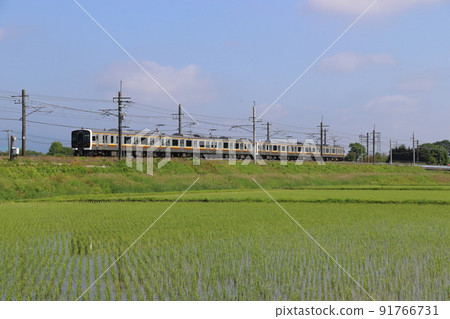 Utsunomiya Line E131 series (6-car train: Utsunomiya ⇔ Kuroiso) 91766731
