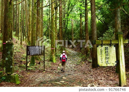 Hakone Town Hakone Old Highway (former Tokaido) Information Board, Cobblestones and Hikers Hakone Town Hakone Old Highway (former Tokaido) Information Board, Cobblestones and Hikers 91766746
