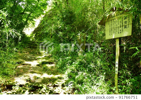 箱根町箱根舊高速公路（舊東海道）Sarusurizaka和Fresh Green 91766751