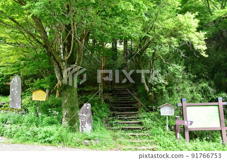 箱根町箱根舊高速公路(舊東海道)大塚和新綠 箱根町箱根舊高速公路(舊東海道)大塚和新綠 91766753