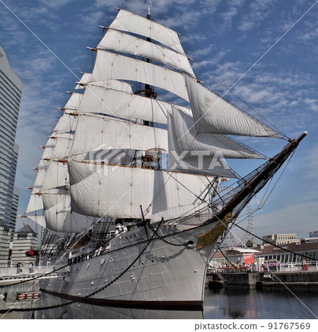 Minatomirai Sail 訓練船 Nippon Maru Insect Dried Color 7 91767569