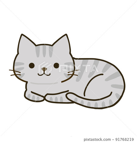 A simple, relaxing tabby cat 91768219