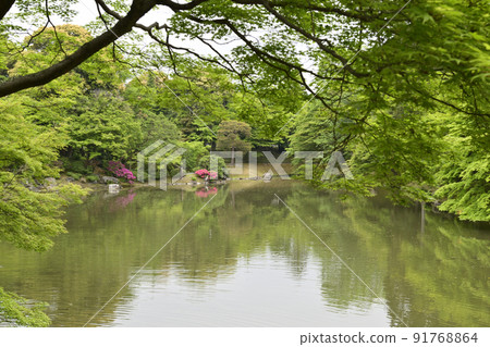 京都淺戶御所北池池塘 京都淺戶御所北池池塘 91768864
