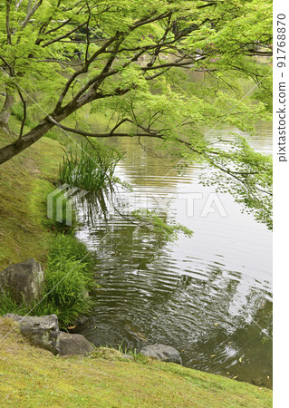 Kyoto Sento Gosho Kitaike Pond 91768870