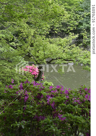 Kyoto Sento Gosho Kitaike Pond Kyoto Sento Gosho Kitaike Pond 91768891