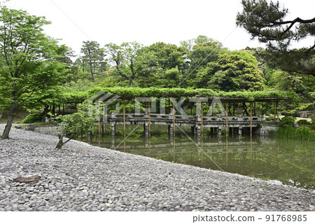 京都 仙洞御所 南池 鮮綠 八橋 京都 仙洞御所 南池 鮮綠 八橋 91768985