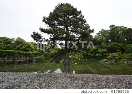 Kyoto Sento Imperial Palace Minamiike Fresh Green Yatsuhashi Kyoto Sento Imperial Palace Minamiike Fresh Green Yatsuhashi 91768986