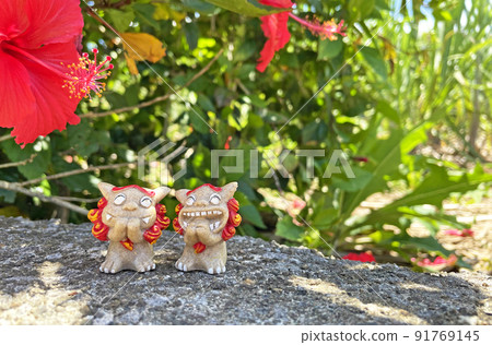 Shisa and Hibiscus Okinawa [Miyakojima] 91769145