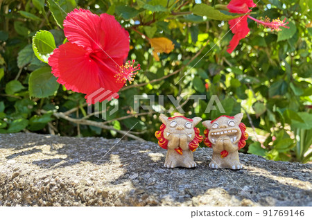 Shisa and Hibiscus Okinawa [Miyakojima] 91769146