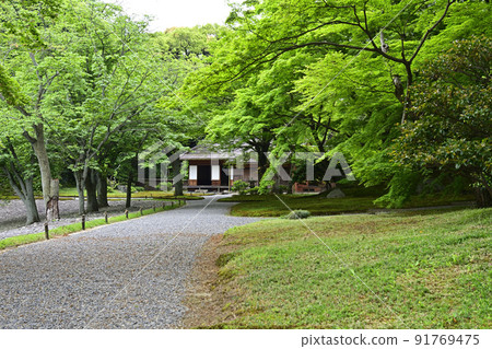 京都 Sento 皇宮 新鮮的綠色 Seikatei 和 Sakura no Baba 京都 Sento 皇宮 新鮮的綠色 Seikatei 和 Sakura no Baba 91769475