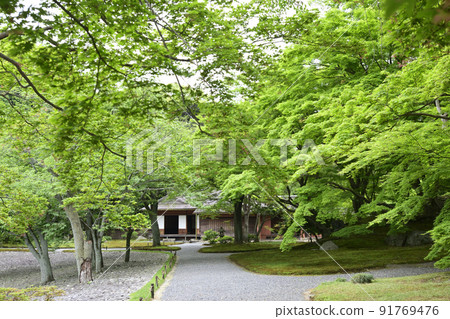 京都 Sento 皇宮 新鮮的綠色 Seikatei 和 Sakura no Baba 京都 Sento 皇宮 新鮮的綠色 Seikatei 和 Sakura no Baba 91769476