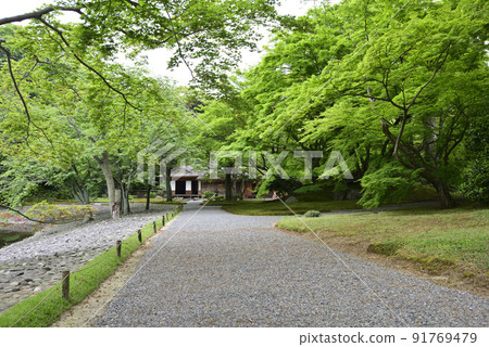 京都 Sento 皇宮 新鮮的綠色 Seikatei 和 Sakura no Baba 京都 Sento 皇宮 新鮮的綠色 Seikatei 和 Sakura no Baba 91769479