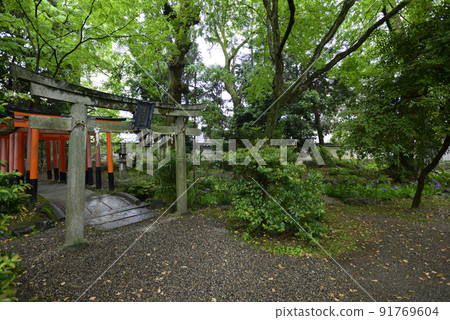 福壽稻荷神社一發(飛尾) 福壽稻荷神社一發(飛尾) 91769604