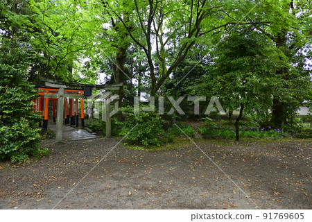 福壽稻荷神社一發(飛尾) 福壽稻荷神社一發(飛尾) 91769605