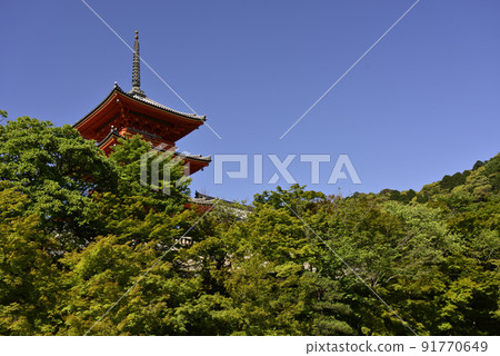 Kiyomizu-dera fresh green three-storied pagoda Kiyomizu-dera fresh green three-storied pagoda 91770649