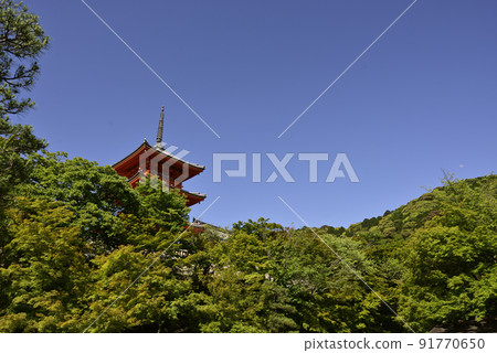Kiyomizu-dera fresh green three-storied pagoda 91770650