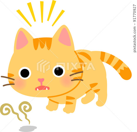 Flehmen response cat 91770927